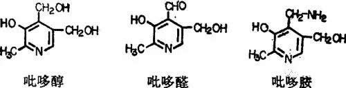 认识维生素B6