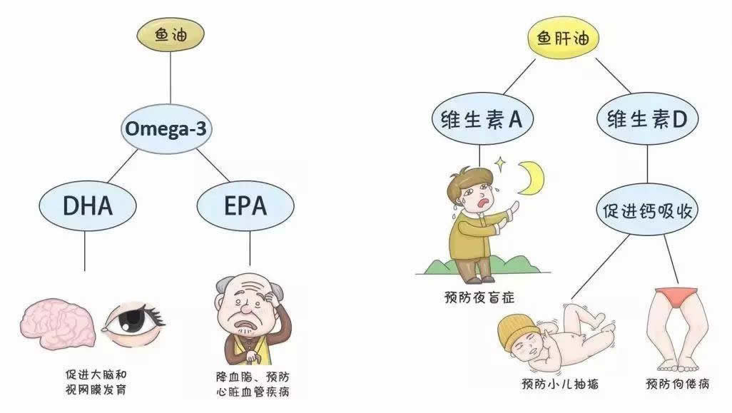 认识EPA和DHA