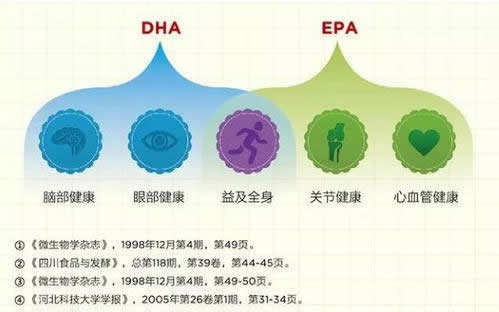 认识EPA和DHA