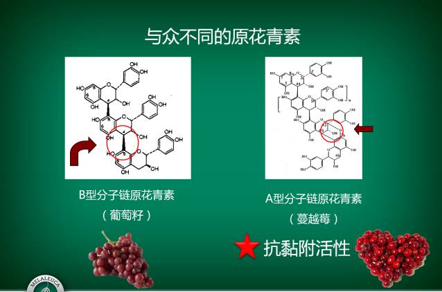 口臭，是因为胃里有幽门螺杆菌