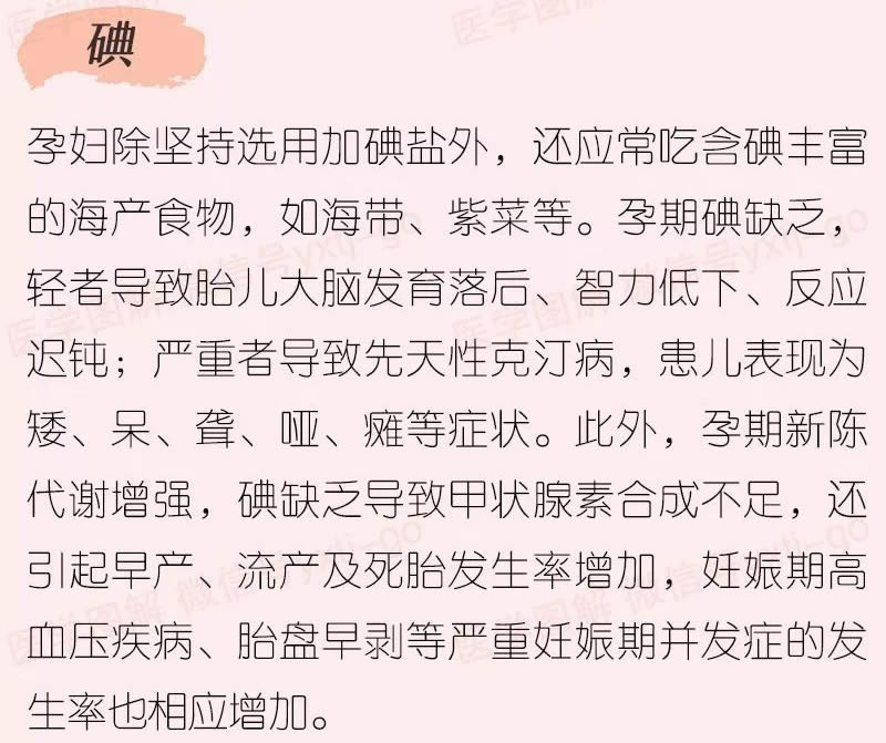 医学图解—你必须知道的孕期营养