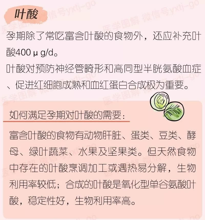 医学图解—你必须知道的孕期营养
