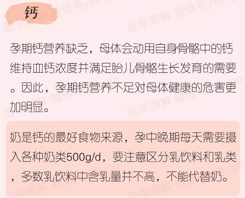 医学图解—你必须知道的孕期营养