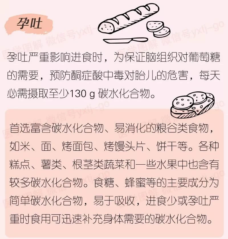 医学图解—你必须知道的孕期营养