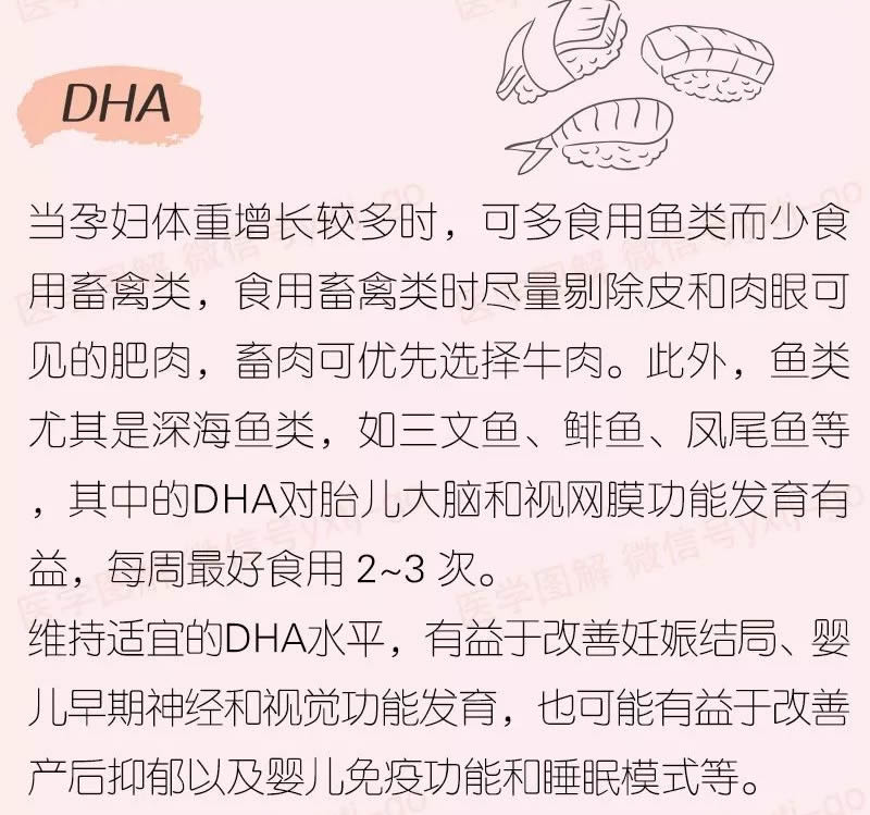 医学图解—你必须知道的孕期营养