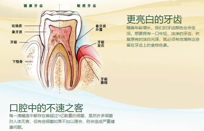 美乐家洁齿牙膏