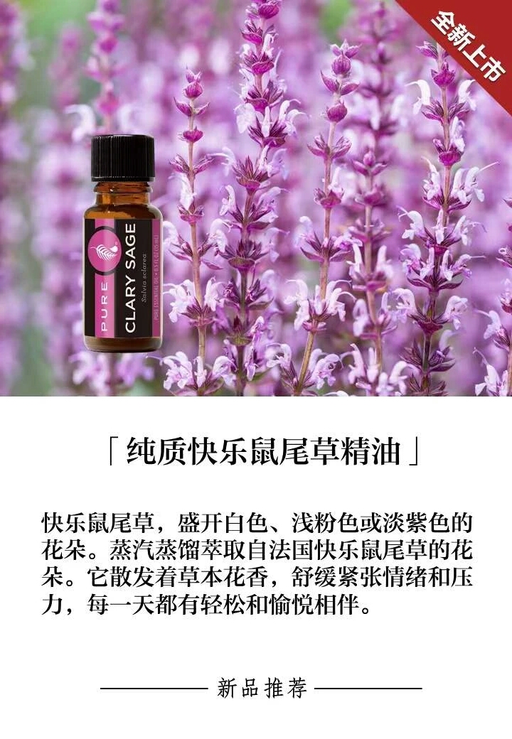 美乐家纯质快乐鼠尾草精油