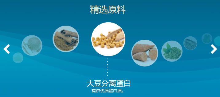 葡安素营养蛋白粉