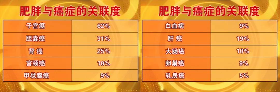 美乐家高纤植物营养粉