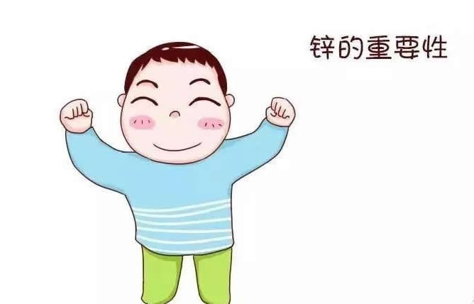 锌对人体的重要作用