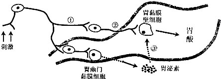 锌对人体的重要作用