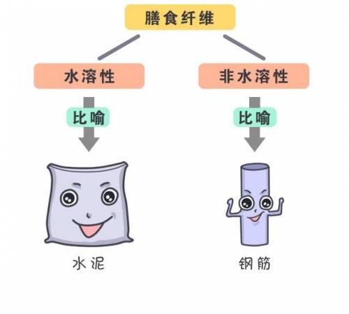 膳食纤维是对人体有健康意义的碳水化合物