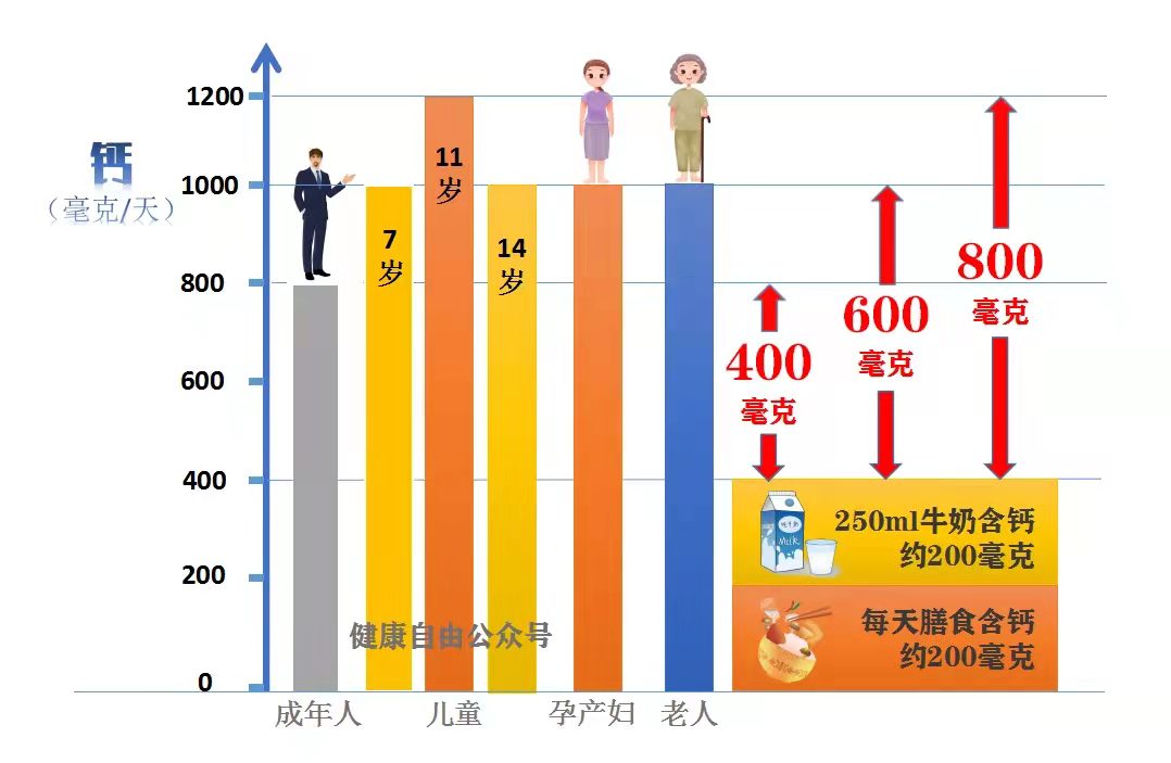 与钙相关的53条秘密，影响每一个人