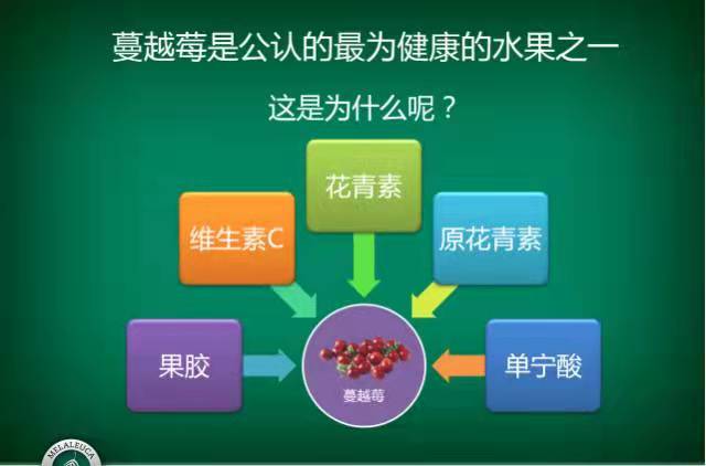 蔓越莓可以增强免疫力、预防女性泌尿系统感染