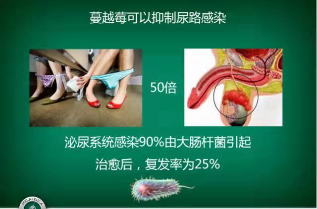 蔓越莓可以增强免疫力、预防女性泌尿系统感染