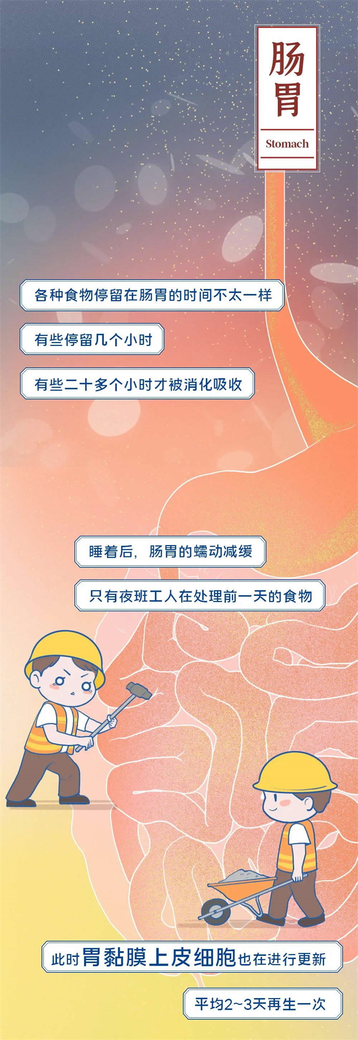 熬夜慢性自杀全过程曝光