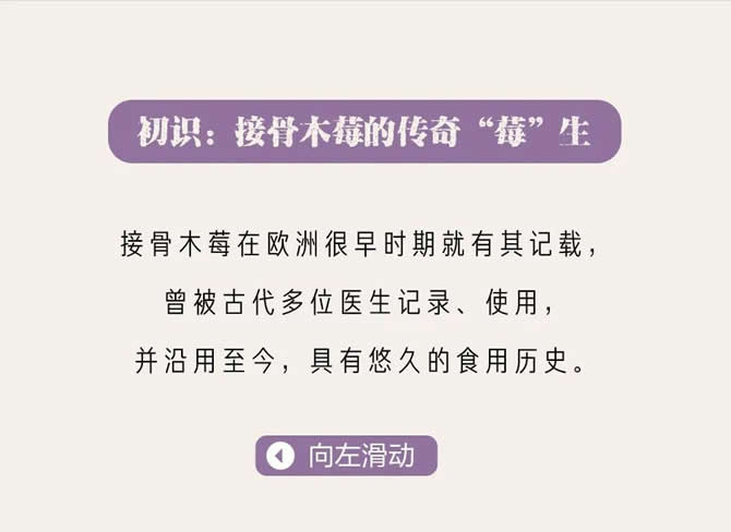 美乐家熊宝宝接骨木莓夹心软糖