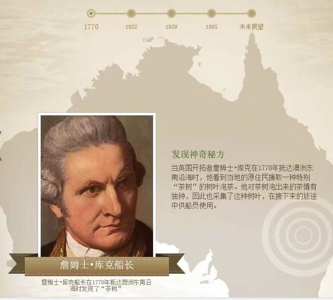 美乐家茶树精油