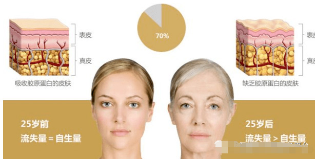 抗衰老所需要的关键营养素