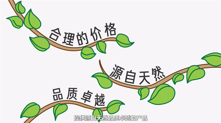走近美乐家，了解不一样的美乐家