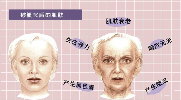 美乐家绿茶压片糖果对女人美容的六大功效：增加皮肤弹性、除皱、祛斑、美白肌肤、保湿、清除痤疮