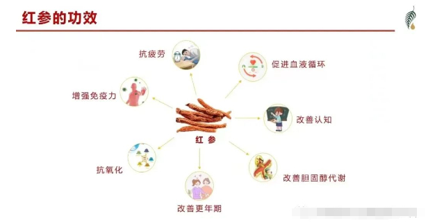 美乐家红参饮品的功效