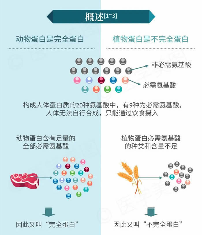 动物蛋白和植物蛋白的区别