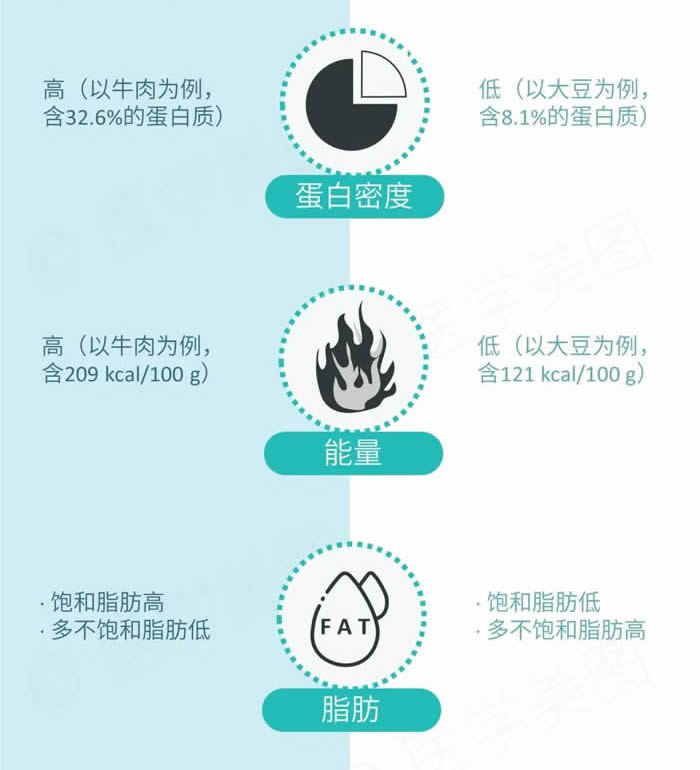 动物蛋白和植物蛋白的区别