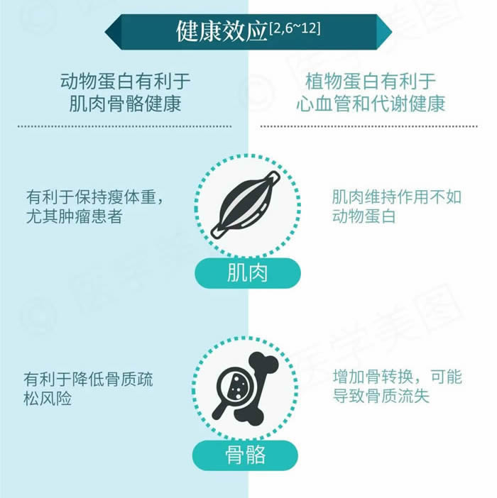 动物蛋白和植物蛋白的区别