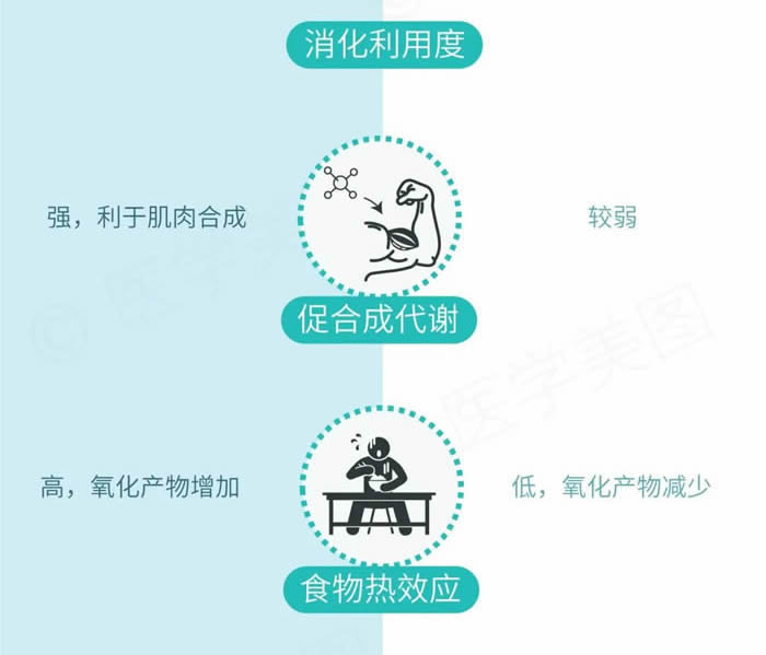 动物蛋白和植物蛋白的区别