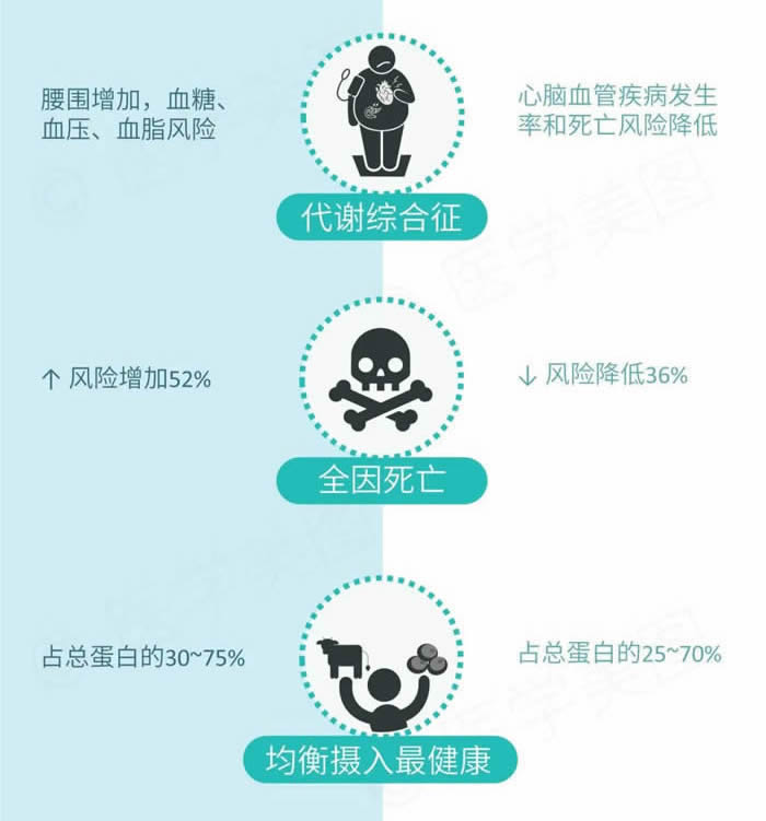 动物蛋白和植物蛋白的区别