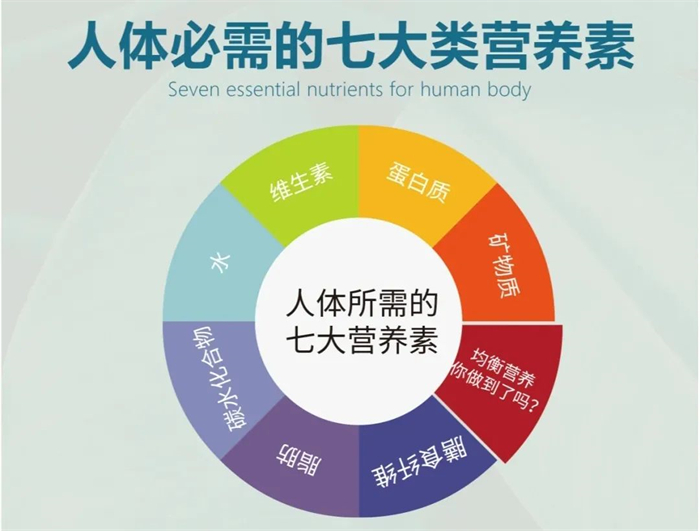 蛋白质对人体免疫力有重要的影响