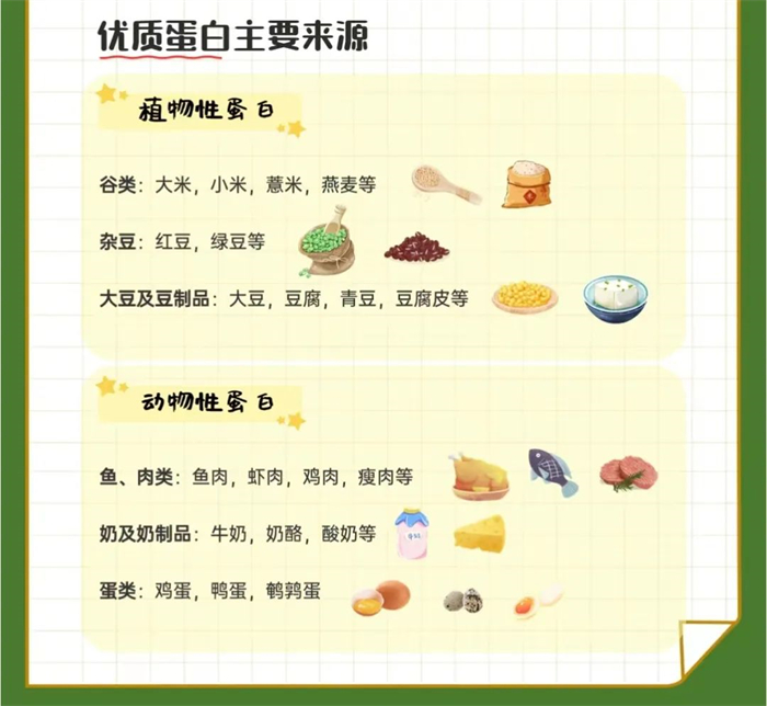 蛋白质对人体免疫力有重要的影响