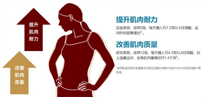 热劲巧克力活力棒