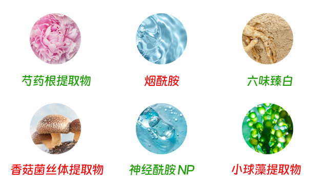 水贝娜臻白焕采乳液
