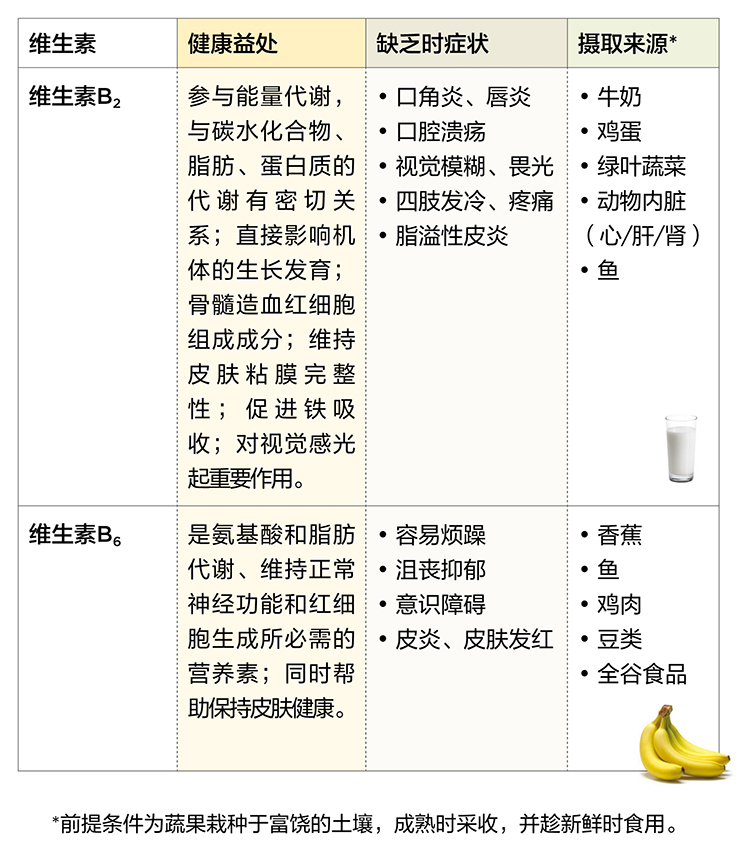 美乐家生命活力营养宝典-维生素与矿物质