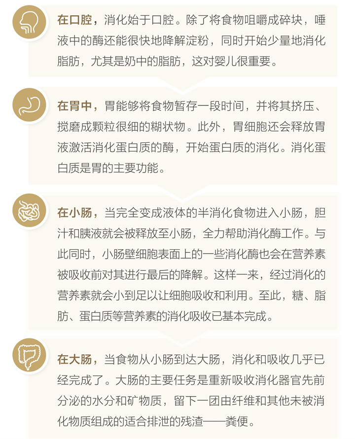 美乐家生命活力 营养宝典 消化健康篇