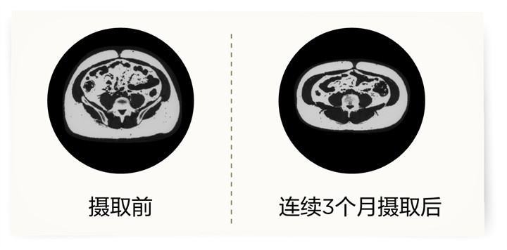 美乐家生命活力 营养宝典 消化健康篇