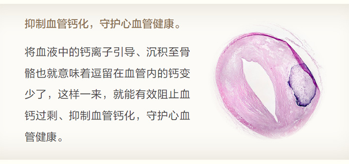 未标题-2.jpg
