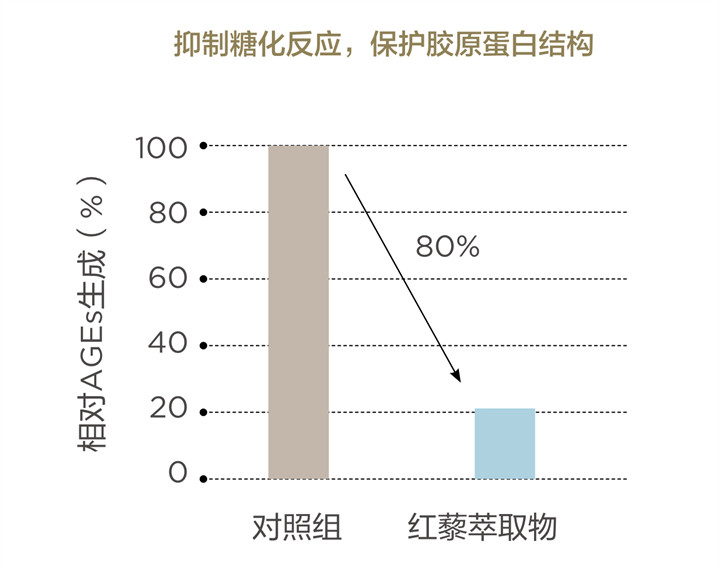 美乐家生命活力 营养宝典 肌肤年轻篇