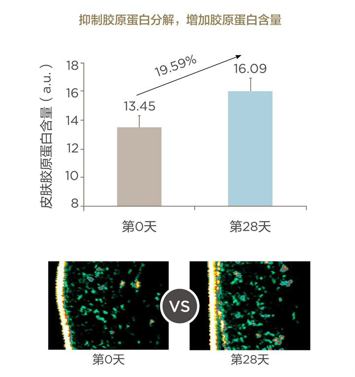 美乐家生命活力 营养宝典 肌肤年轻篇
