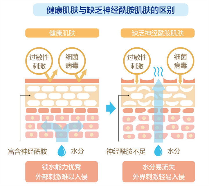 美乐家生命活力 营养宝典 肌肤年轻篇