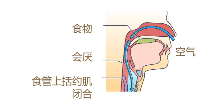美乐家生命活力 营养宝典 守护呼吸健康