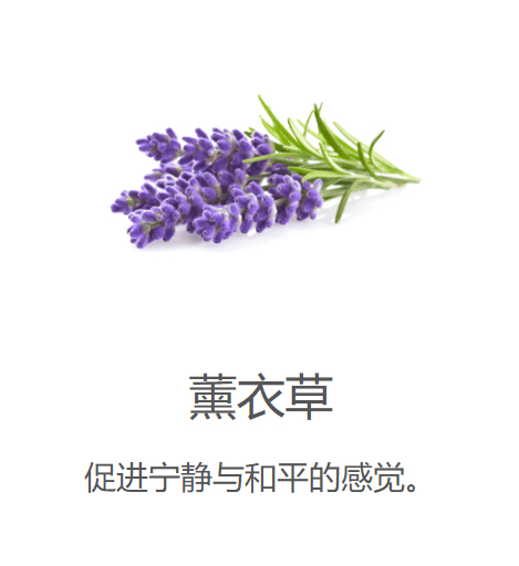 美乐家纯质好梦精油滚珠