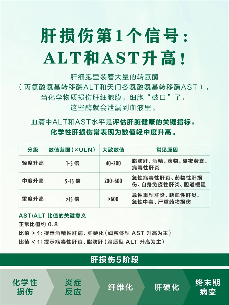 灵芝五味子护肝必需品