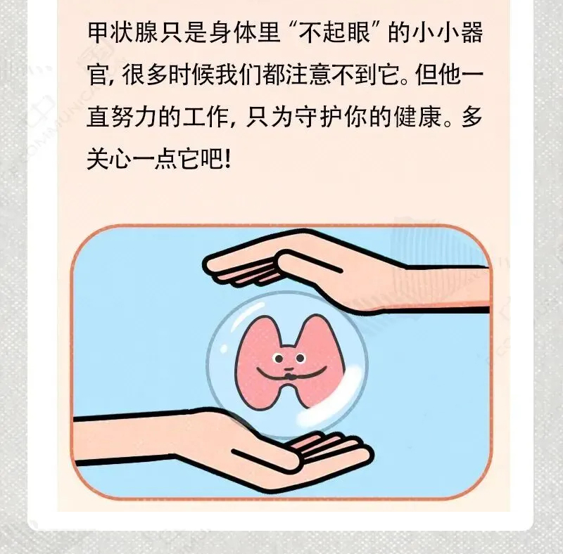 科学养护甲状腺健康，从这些常识开始