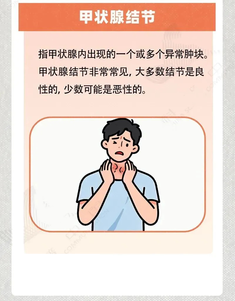 科学养护甲状腺健康，从这些常识开始